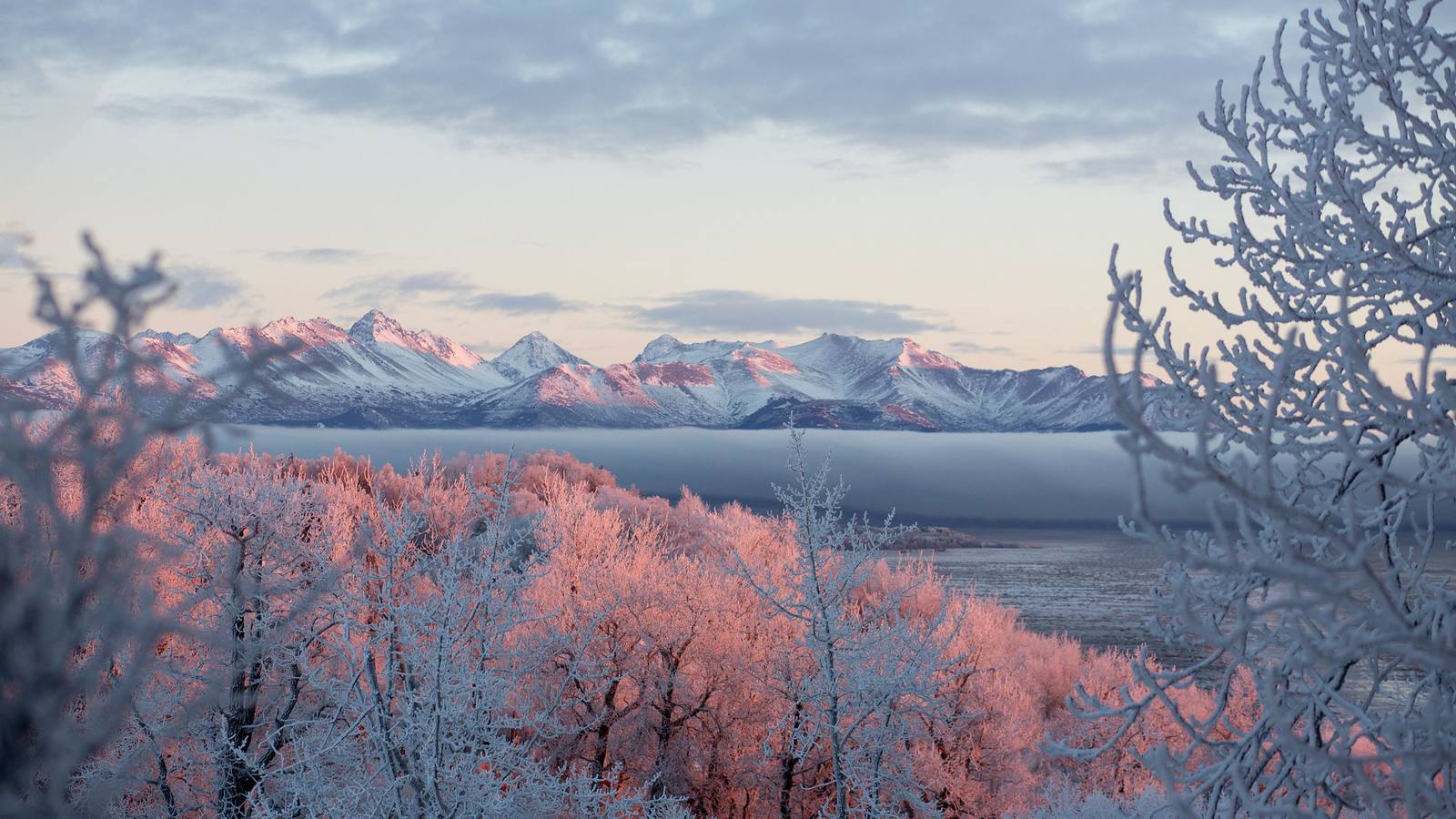 Frost-covered trees below the snow-covered Chugach range at sunrise near Anchorage, illustrative of the Anchorage area.