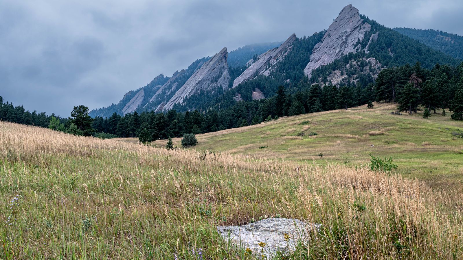The Flatirons rising over summer meadow grass at Chautauqua in Boulder, an illustrative image for the firm's Boulder service area.