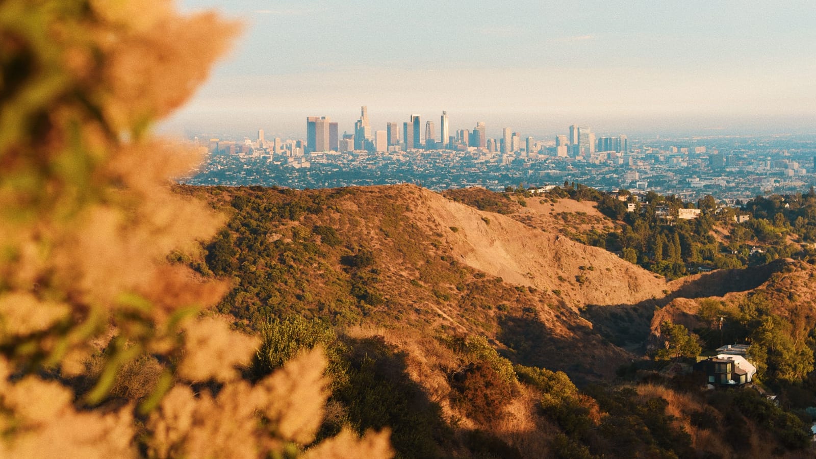 The downtown Los Angeles skyline seen across the Griffith Park hills at golden hour, an illustrative image for the firm's Los Angeles service area.