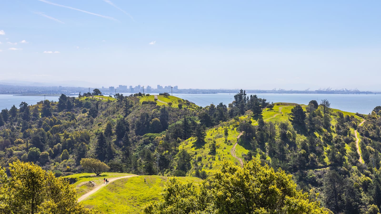 Green hills above the bay with the Oakland skyline and port cranes beyond, an illustrative image for the firm's Oakland service area.