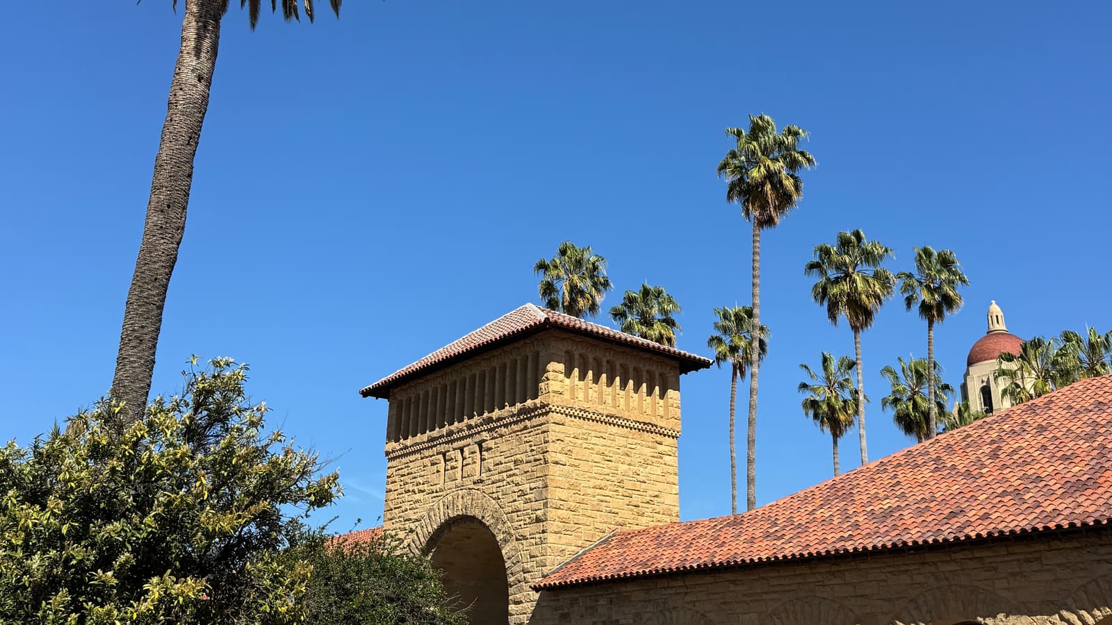 A sandstone arcade and tall palms under a clear sky on a university campus in Palo Alto, an illustrative image for the firm's Palo Alto area.