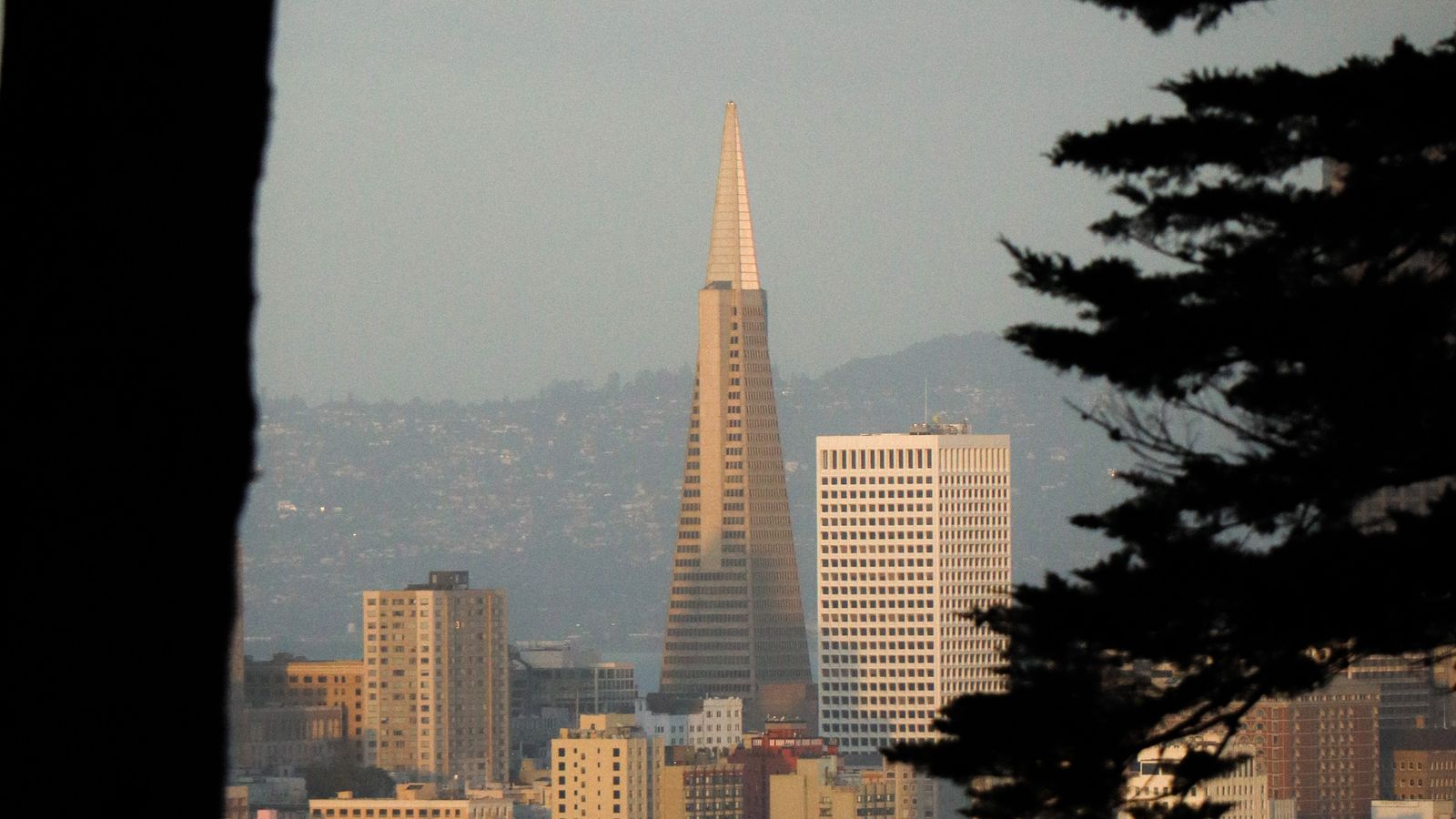 The California skyline at golden hour, the Transamerica Pyramid among the towers — an illustrative image for the firm's California service area.