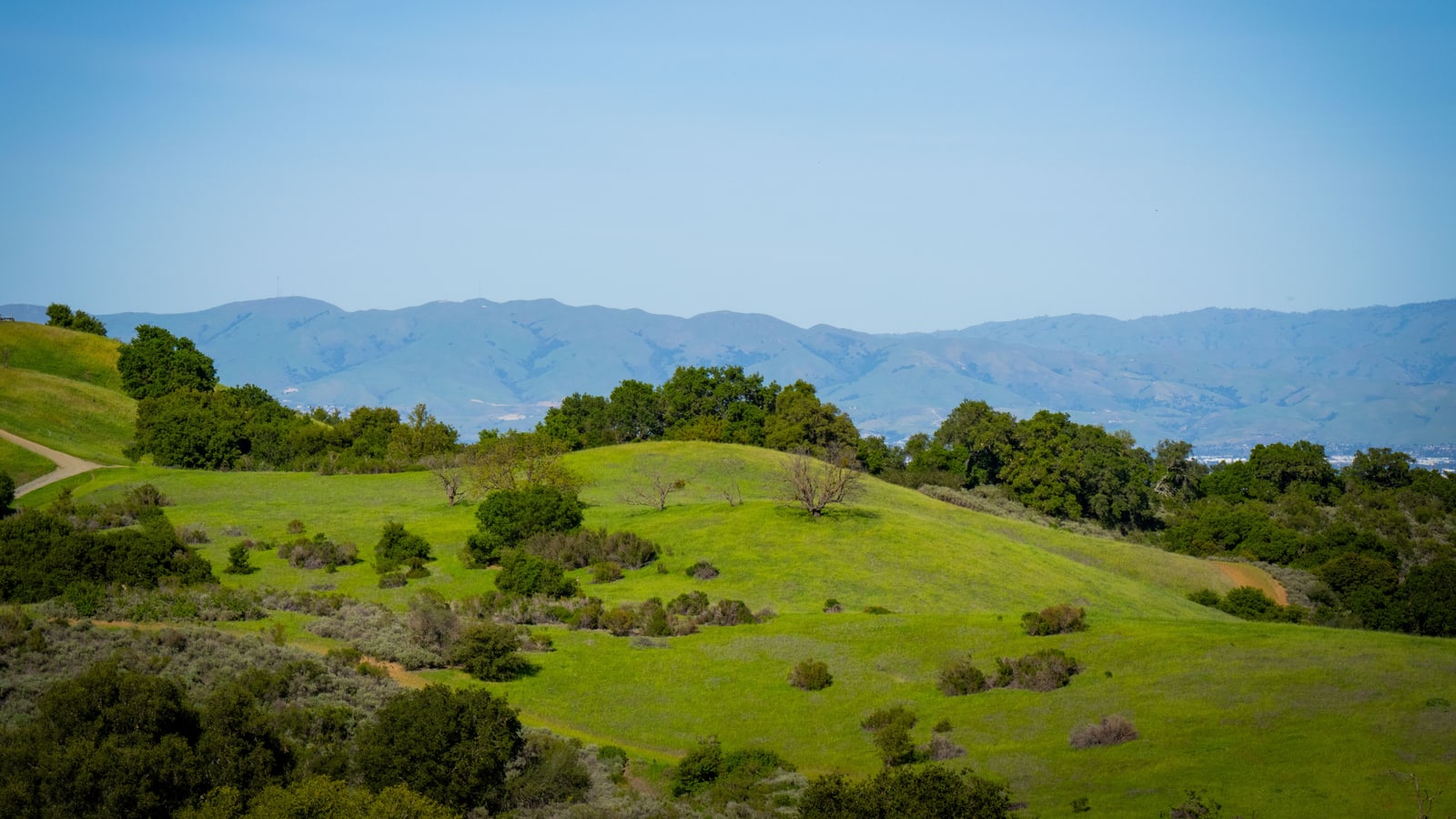 Oak-dotted green hills and the Diablo Range in Santa Clara County: an illustrative image of the Santa Clara Valley, not a photograph of this place.