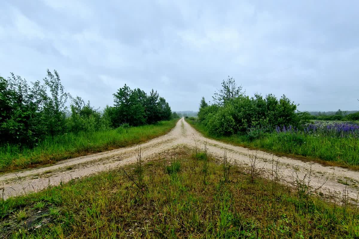 A forked dirt road through open countryside: an illustrative image for an honest parting of ways.