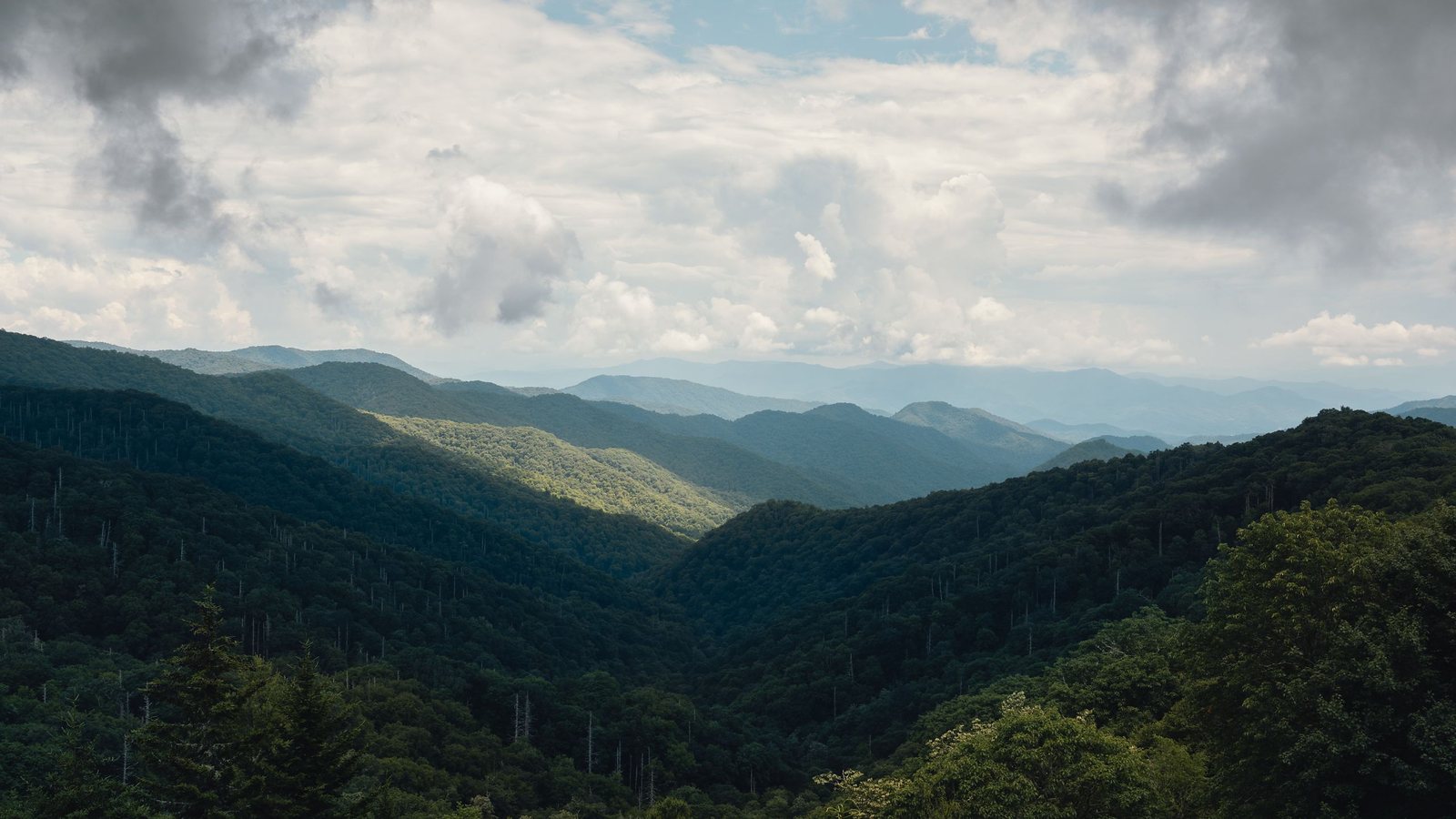 Forested Blue Ridge ridgelines receding into haze: an illustrative image of the Appalachian region, not a photograph of this place.