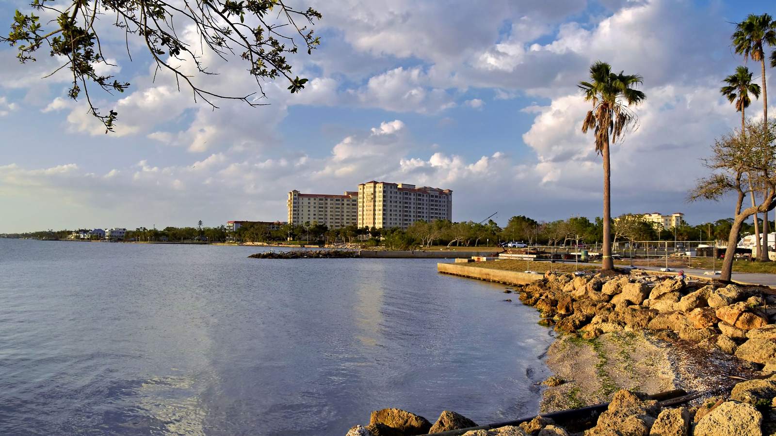 A palm-lined bayfront in Sarasota, Florida: an illustrative image of the Gulf Coast, not a photograph of this place.