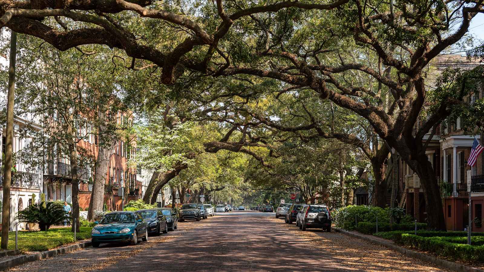 A live-oak-canopied historic street in Savannah, Georgia: an illustrative image of the Southeast, not a photograph of this place.